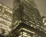 LA TACTIQUE DU ROSEAU