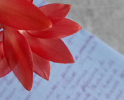 Encrer l'indicible - Premier poème