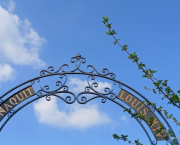 LA SALAMANDRE ET LE SEL CENTRAL