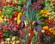 Les préjugés sur la nourriture sont "sans faim".
