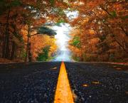 Ma plume part sur les routes