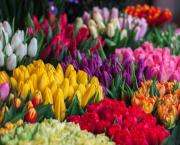 Le langage des fleurs