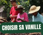 Le Guide Ultime de la Vanille : De l'Orchidée à la Gousse, Tout Comprendre sur la vanille
