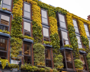 Embracing Greenery in Small Spaces