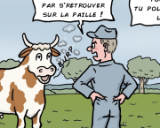 le rot des vaches en question