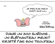 Dumbo a  finalement eu de la chance...
