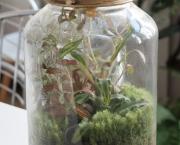 Terrarium - part 1