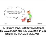 Il n'est pas indispensable de manger de la viande