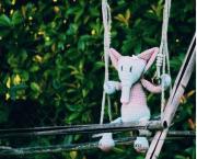 Écrire un texte comportant les mots imposés suivants :Aviateur, balançoire, cabinet, dollars, ergothérapeute, filon, gaspillage, honneur