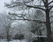 Mon moment préféré de Noël