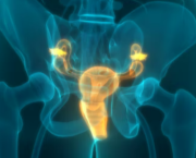 Prostate