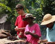 L'Épopée Oubliée de la Vanille : De la Gousse Noire Sacrée du Mexique à l'Arôme Bourbon de Madagascar