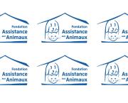 Ils n'attendent que vous ! Fondation assistance aux animaux