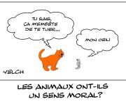 Les animaux ont-ils un sens moral?