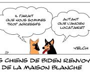 Agressivité à quatre pattes à la Maison Blanche