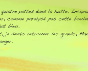 10. Clan Destin - Les lignes