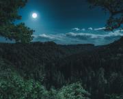 Une nuit paisible