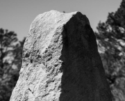 Épisode 10 : La psychologie de la personne handicapée en 2 phrases ?