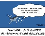 Don't kill the whale