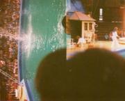 On Hungarian Political Poetry (an essay)