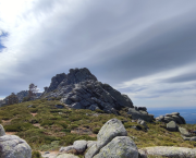 ¿Turismo de playa o de montaña?