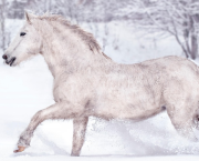 Infolettre de Janvier 2026 : Blanc