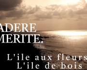 Voulez-vous découvrir Madère ?