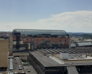 Literature and Healing