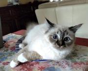 Nous sommes le miroir de l'autre