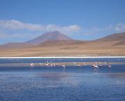 Le clou du spectacle : el Salar de Uyuni