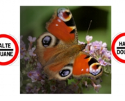 frontières de folie