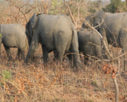 Carnet de voyage au Burkina Faso