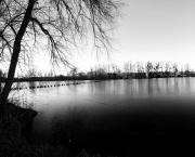 Chronique N°1 : Le Bonheur à 3 balles (ou la théorie de la grenouille)