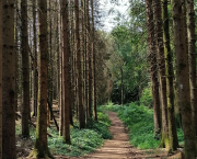 Concours de nouvelles dans le cadre du Trail Passe Partout : thème "le dernier ravito".