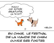 en chine , le festival de la viande de chien ouvre ses portes