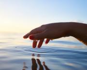 Dans ma baignoire, une histoire d'urine quantique