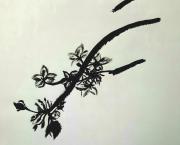 (Re)cueillir les fleurs sur l'arbre des souvenirs