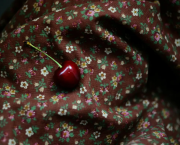 Au milieu des cerises