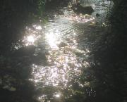 Le jardin du 19 Juillet