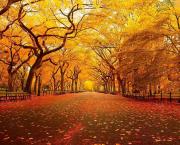 An Autumn Meditation Of Gratitude