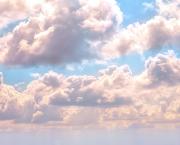 Une journée de Printemps