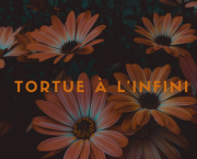 J'ai lu Tortue à l'infini de John Green