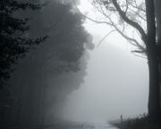 C'è ancora una speranza