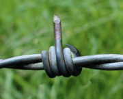 PAR DELA LES FRONTIERES