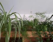 Rêve de l'éco-working