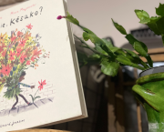 #jour8 : poésie infinie