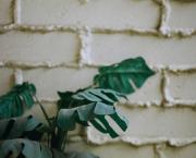 IL Y A LES VRAIS.... IL Y A LES FAKE !