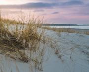 Derrière la dune