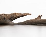 Jugement et corruption