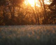 Marie-Thérèse, femme présente